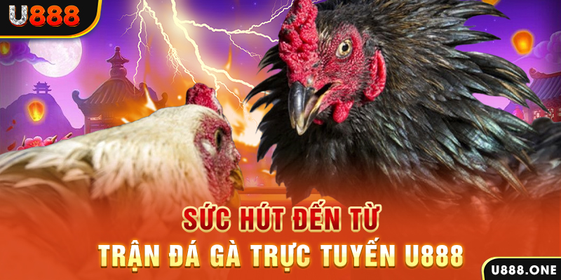 vietjack 11 đá gà trực tiếp c1