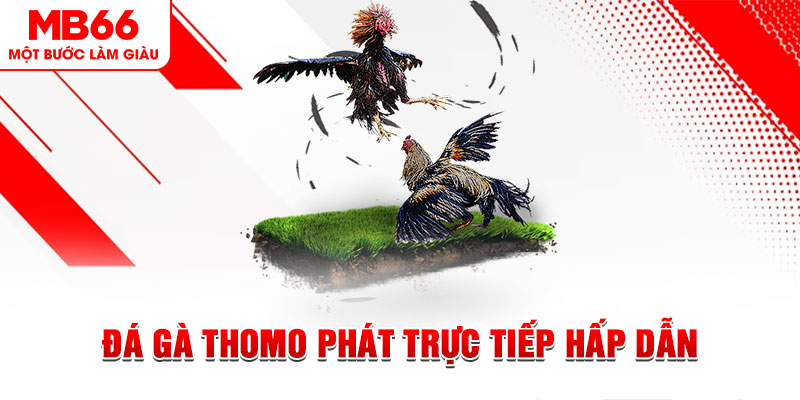vietjack 11 dự đoán xổ số miền trung