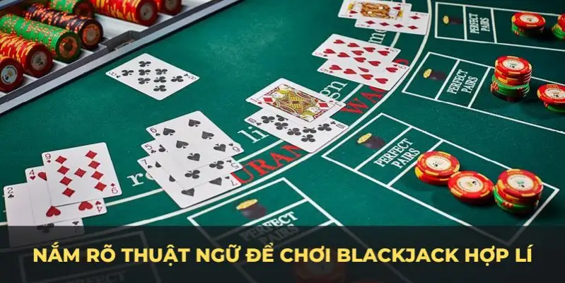vietjack 11 c1 gà chọi