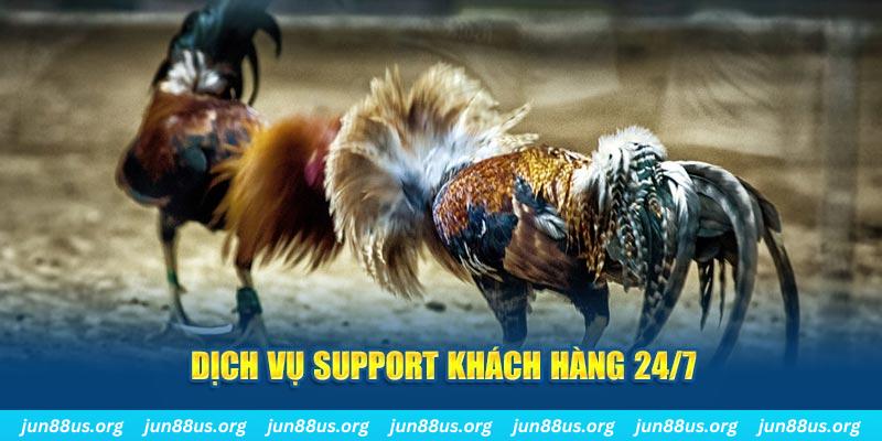 vietjack 11 ÁT CHỦ BÀI GIÀNH LẤY ZHUANG NIUNIU ( XEM 4 LÁ )