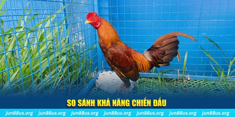 vietjack 11 CQ9 Điện Tử