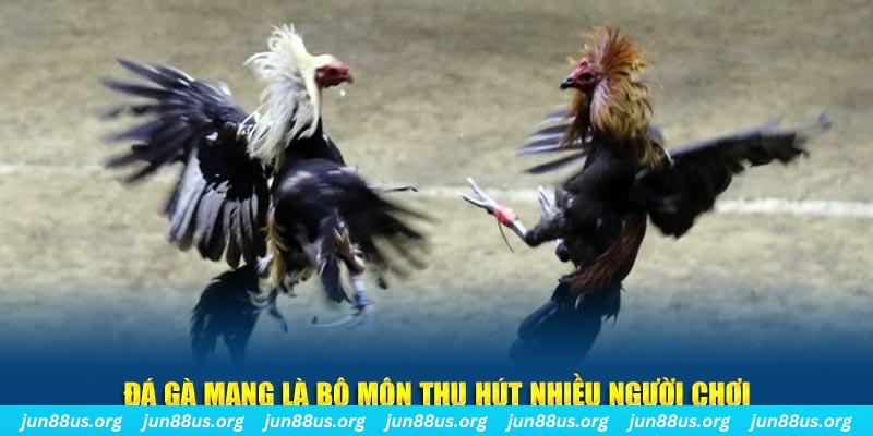 vietjack 11 bắn cá au88