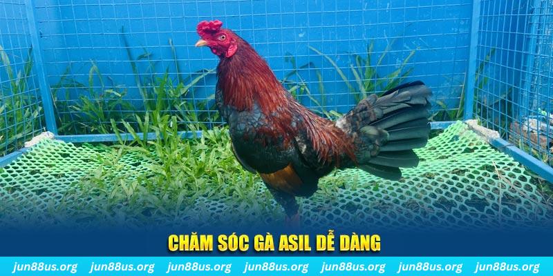 vietjack 11 game bài là gì