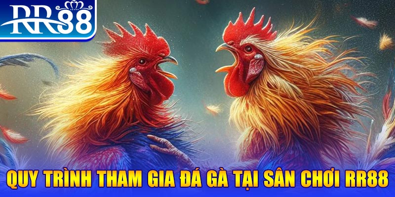 vietjack 11 đá gà cam 67