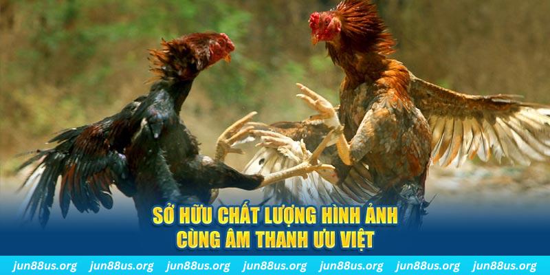 vietjack 11 PP Điện Tử