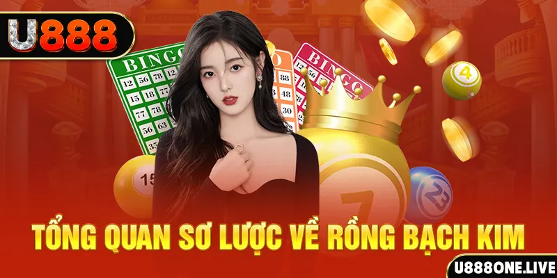 vietjack 11 hũ 8 bit nổ như thế nào