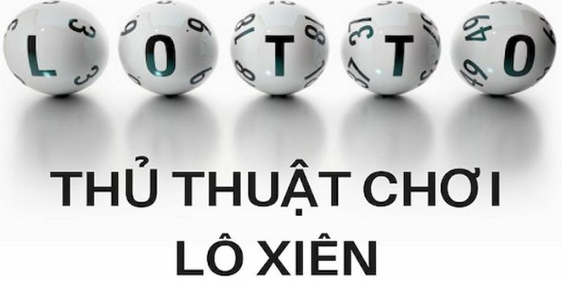 vietjack 11 trực tiếp đá gà thomo