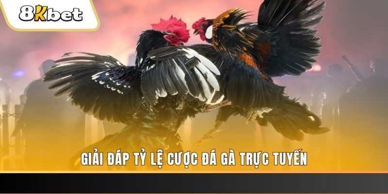 vietjack 11 xổ số đài miền trung