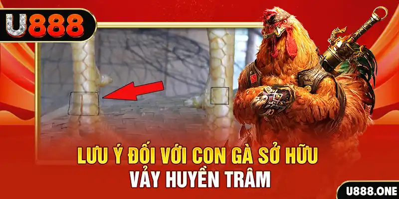 vietjack 11 kết quả xổ số miền nam hôm nay