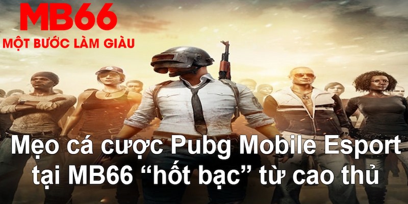 vietjack 11 VA Bắn cá
