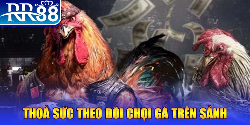 vietjack 11 Bài Poker Joker