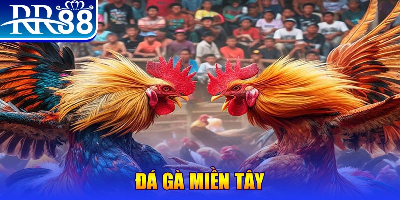 vietjack 11 no hu doi thuong ai