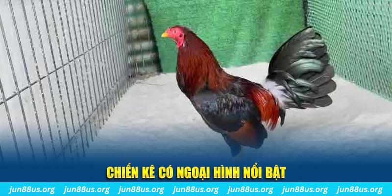 vietjack 11 game nổ hũ là gì